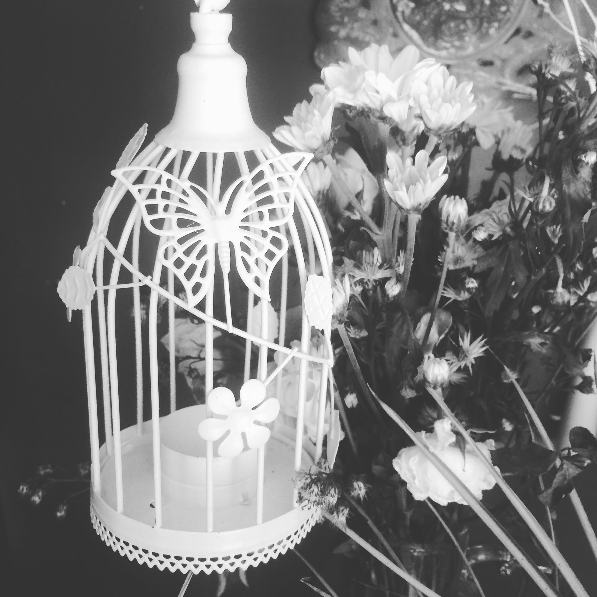 Lồng đốt nến thưa bướm trắng Giá bán: 230.000đ