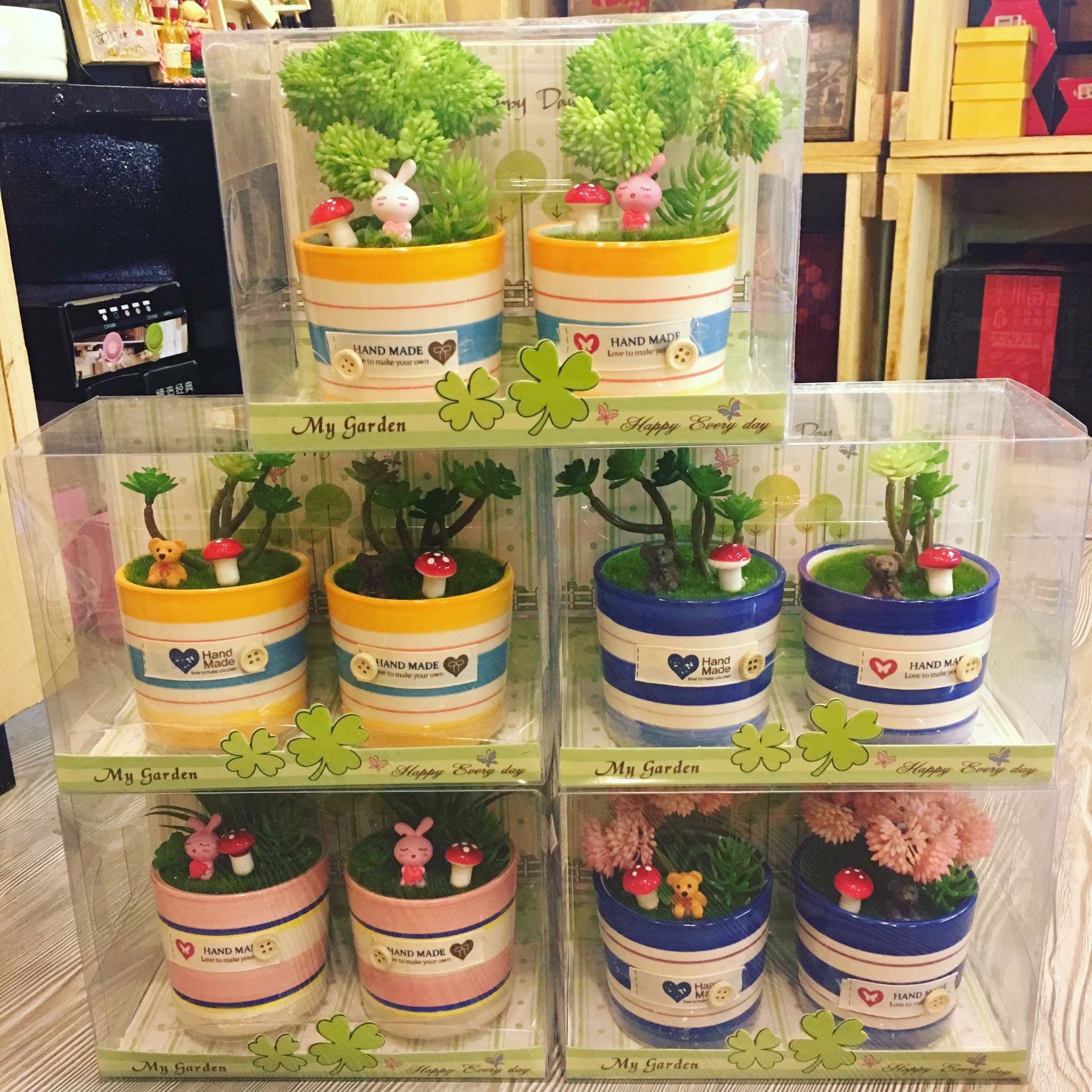 Chậu cây tinh dầu Giá bán: 90.000đ