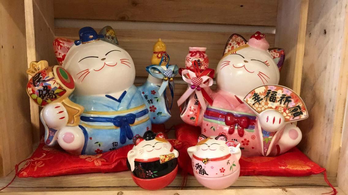 Mèo Dâu Rể Giá bán: 2.100.000đ