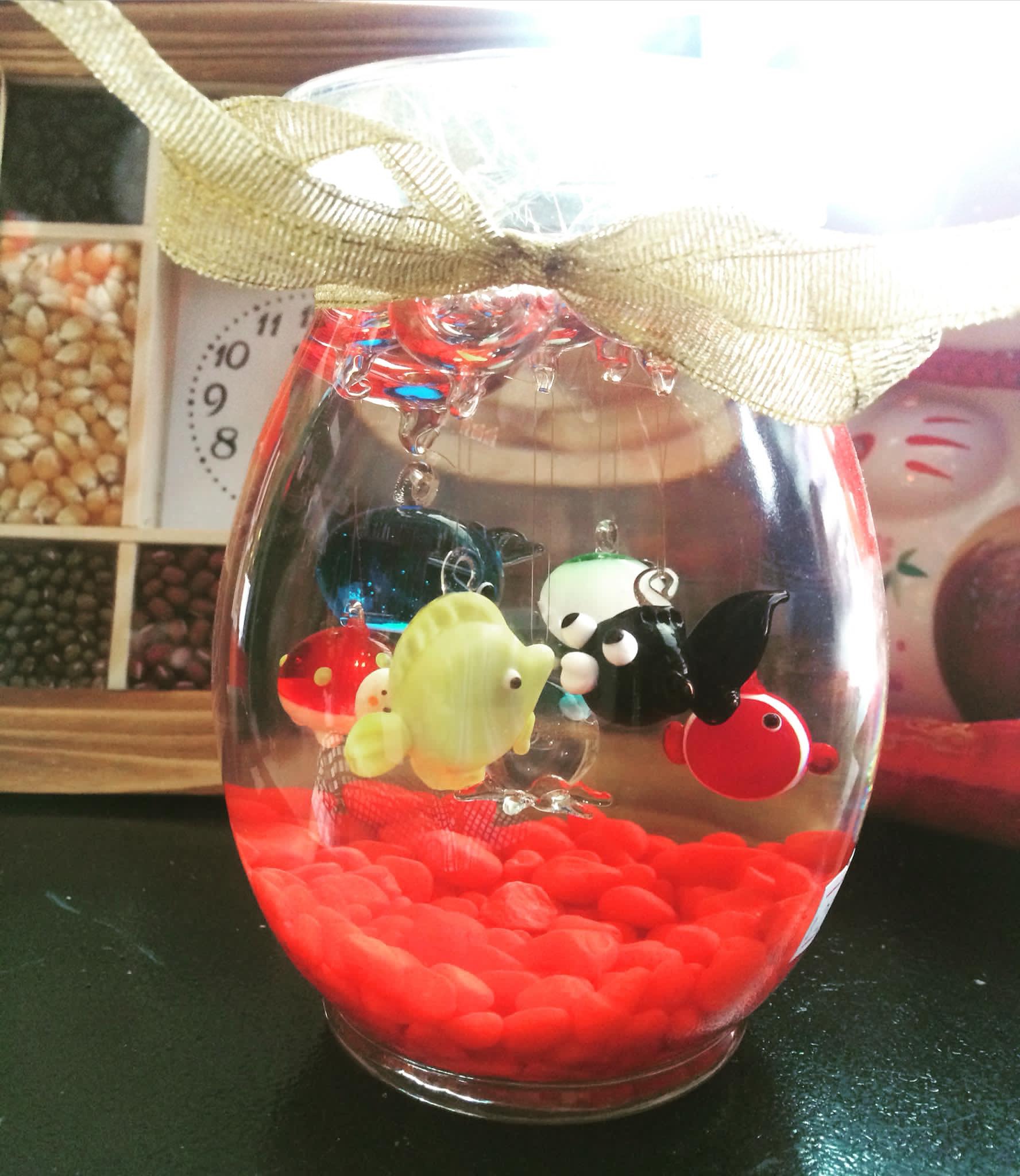 Hồ cá mini Giá bán: 250.000đ