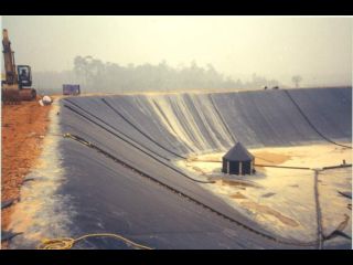 BẠT LÓT HỒ NHÂN TẠO Giá bán: 999đ