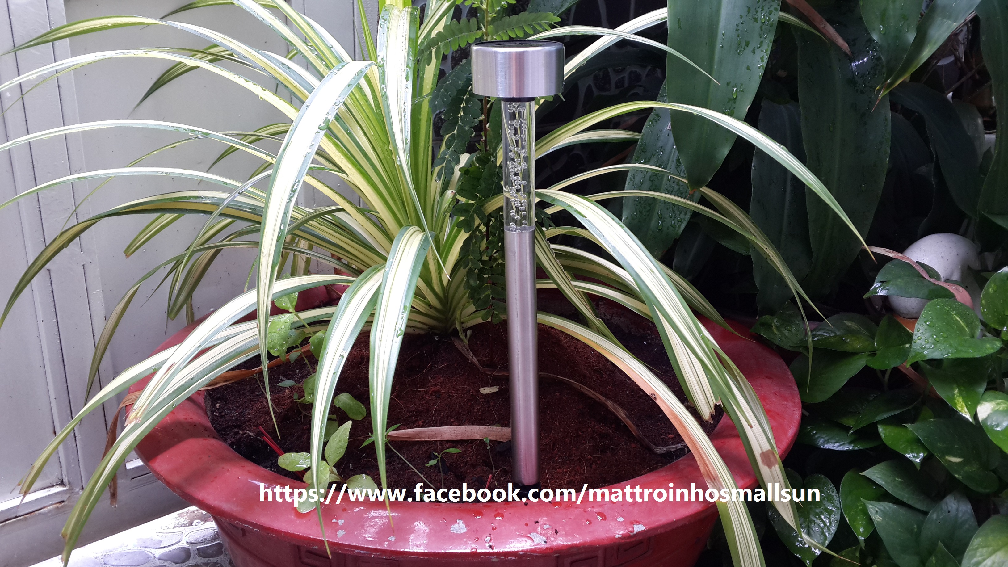 Đèn trang trí sân vườn năng lượng mặt trời L1 Giá bán: 89.000đ