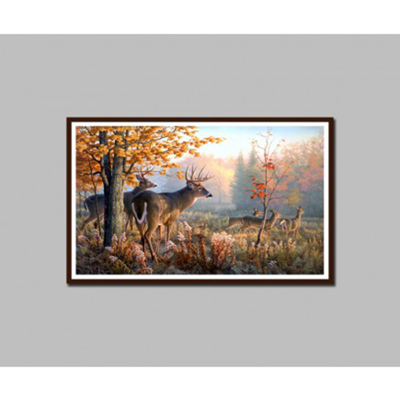  Tranh treo tường phong thủy DH1171A (kích thước 50x80cm)  Giá bán: 380.000đ