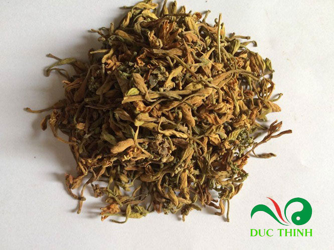 hoa đu đủ đực trị ung thư phổi Giá bán: 100.000đ