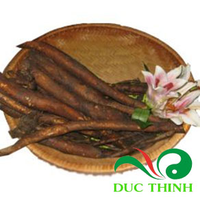 củ gai tươi giúp an thai Giá bán: 150đ