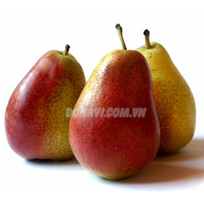 Lê Nam Phi Giá bán: 120.000đ