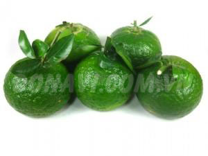 Cam sành Bến Tre đặc biệt Giá bán: 85.000đ