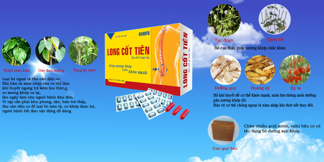 Long Cốt Tiên Giá bán: 120.000đ