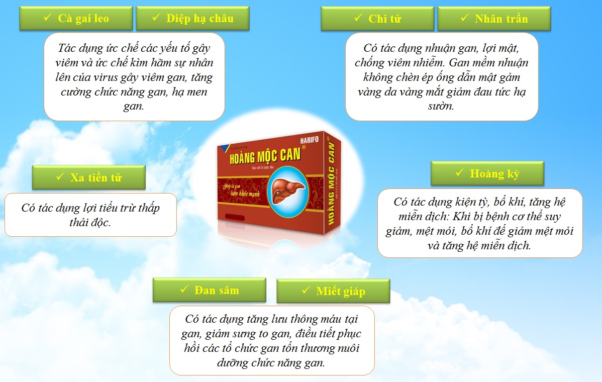Thực phẩm chức năng Hoàng Mộc Lan Giá bán: 120.000đ