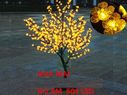 Cây hoa mai trang trí tết Giá bán: 2.000.000đ