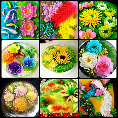 Bộ vcd làm rau câu 3d - Từ cơ bản đến nâng cao – No.2 Giá bán: 13.000đ