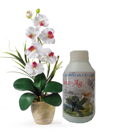 Dung dịch phun, xịt hoa lan, cây cảnh Nano-Ag Giá bán: 100.000đ