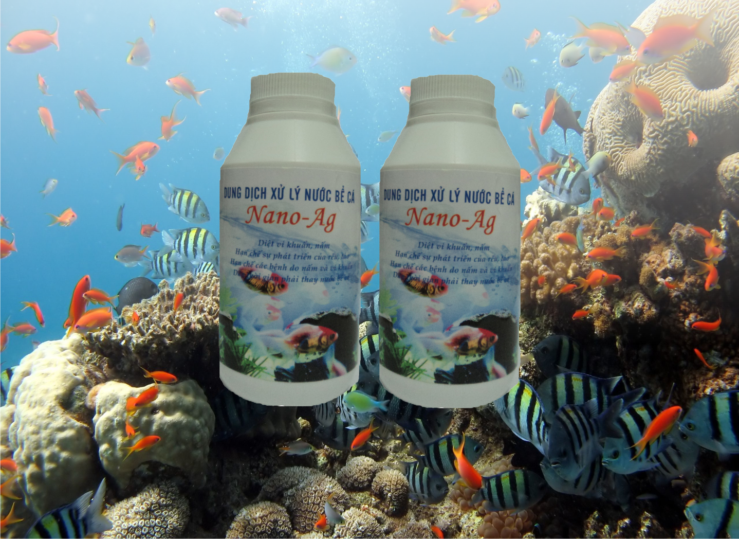 Dung dịch xử lý nước bể cá Nano-Ag Giá bán: 55.000đ