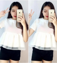 Áo bèo voan kính và trơn