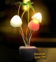 Đèn ngủ cảm biến