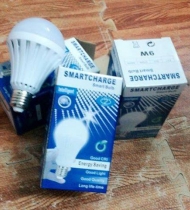 Bóng điện tích điên