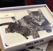 Sách tiếng Anh 3D Magical English