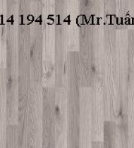 SÀN GỖ TÂN THỊNH