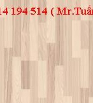 SÀN GỖ TÂN THỊNH