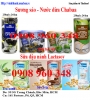 Lactasoy sữa đậu nành Sương sáo Nước Dừa Chabaa nk Thailand