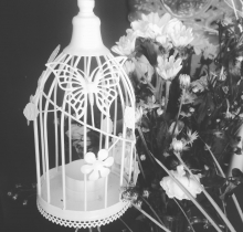 Lồng đốt nến thưa bướm trắng