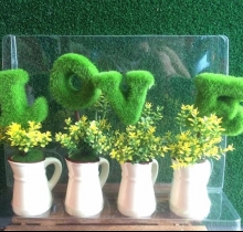 Bộ chậu cây love