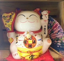 Mèo Đại Khai Vận Chiêu Tài