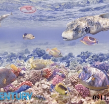 Biến hóa không gian nhà bạn với sàn gạch 3D Century