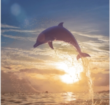 Biến hóa không gian nhà bạn với sàn gạch 3D Century