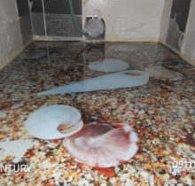 Sàn- tường- Trần 3D