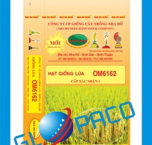 Bao PP dệt đựng lúa giống