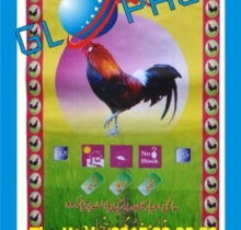 Bao PP dệt đựng gạo 50kg