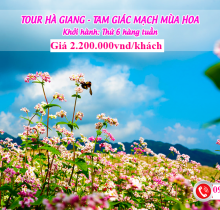 Du lịch Hà Giang mùa hoa tam giác mạch 3 ngày 2 đêm