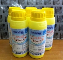 Dịch vụ diệt chuột - diệt côn trùng giá rẻ