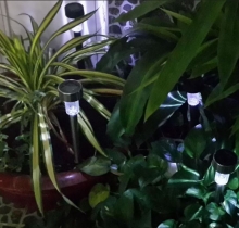 Đèn trang trí sân vườn năng lượng mặt trời L2