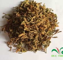 hoa đu đủ đực trị ung thư phổi