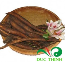 củ gai tươi giúp an thai