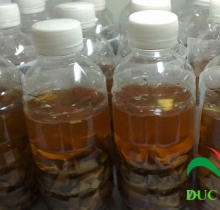 Rượu thuốc trị mụn làm đẹp da( Bởi Shop: tranhoangmai ) Rượu thuốc trị mụn làm đẹp da