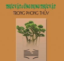 Thực vật và ứng dụng Thực vật trong Phong Thủy