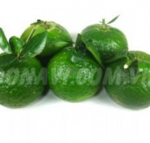 Cam sành Bến Tre đặc biệt