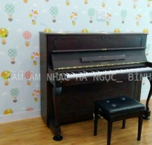 Tuyển sinh piano, thanh nhạc giá 310k/tháng tại quận 11, quận Bình Thạnh