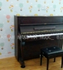 Tuyển sinh piano, thanh nhạc giá 310k/tháng tại quận 11, quận Bình Thạnh
