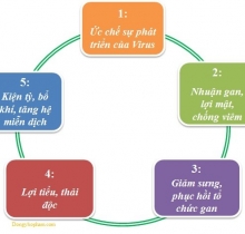 Thực phẩm chức năng Hoàng Mộc Lan