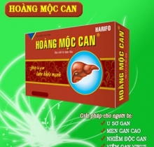 Thực phẩm chức năng Hoàng Mộc Lan