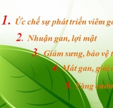 Thực phẩm chức năng Hoàng Mộc Lan