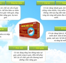 Thực phẩm chức năng Hoàng Mộc Lan