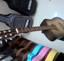 Đàn guitar Việt Nam