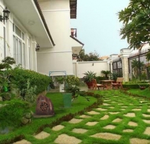 Loa giả đá DSP643