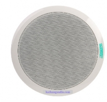 Loa âm trần: WA124