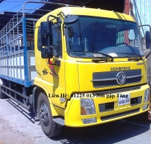 Bán Xe Tải DongFeng Trường Giang 9,6 Tấn